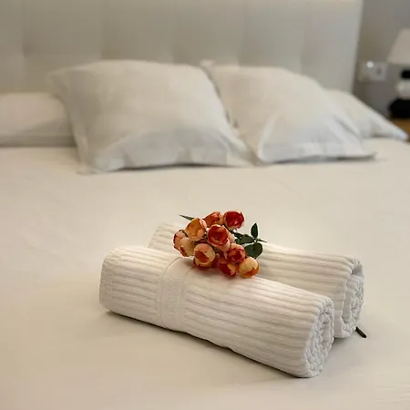 Nuevo Lujoso Centro Wifi ,parking